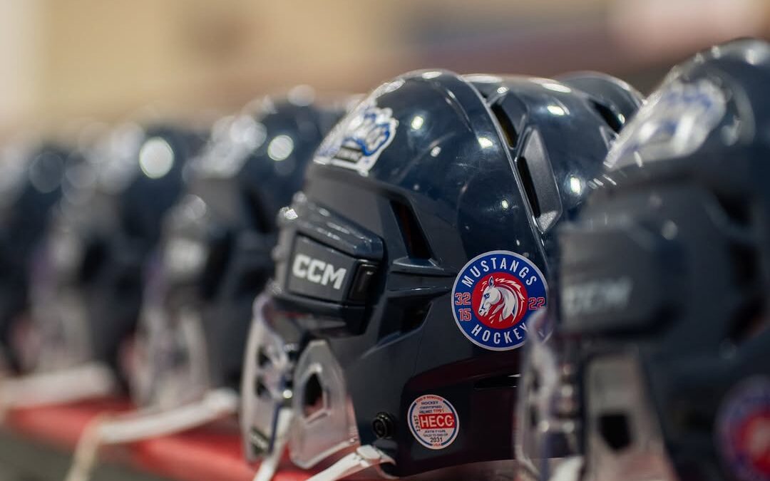 In loving memory 🤍